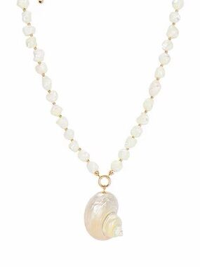 Sunken Treasure Shell Necklace in Gold